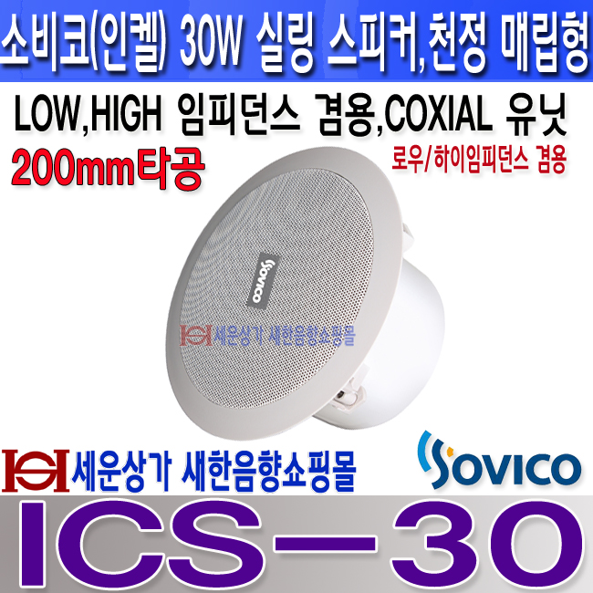 ICS-30 LOGO.jpg